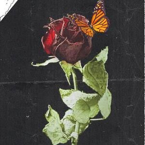 Meet your Posher, Zeth